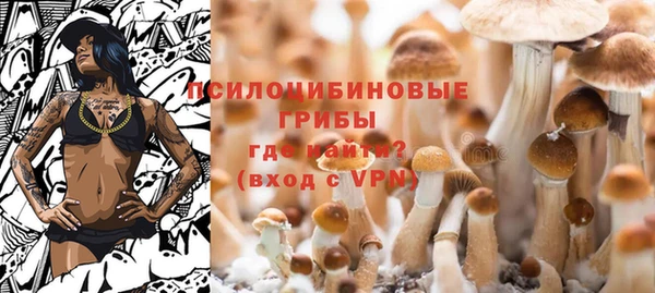 mix Богородицк