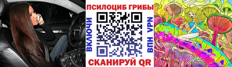 Галлюциногенные грибы Cubensis  Купить закладки  Канск 